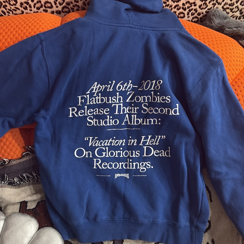 Flatbush Zombies Hoodie! FRIENDS & FAM - Picture 2 of 2